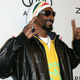 Snoop Lion (Frederick M. Brown/Getty Images)